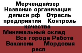 Мерчендайзер › Название организации ­ диписи.рф › Отрасль предприятия ­ Контроль качества › Минимальный оклад ­ 20 000 - Все города Работа » Вакансии   . Мордовия респ.